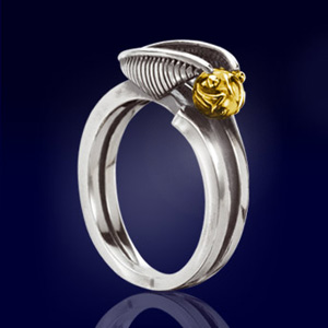 Quidditch Ring