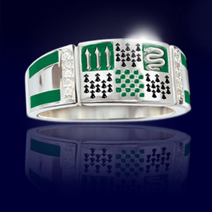 Slytherin Wappen Ring